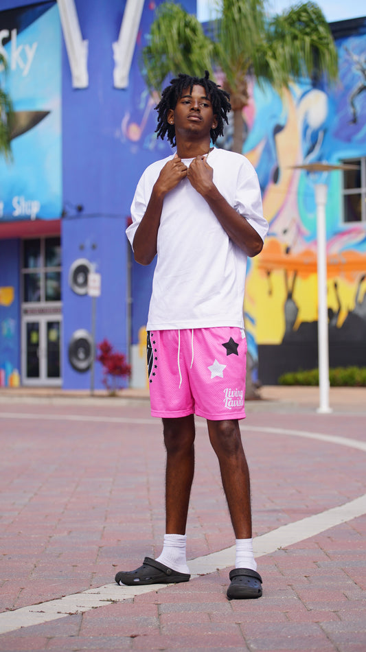 Star Globe Mesh Shorts (pink)